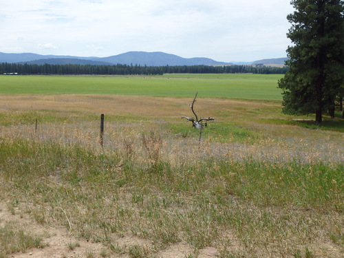 GDMBR: We're descending into the Blackfoot River Valley.